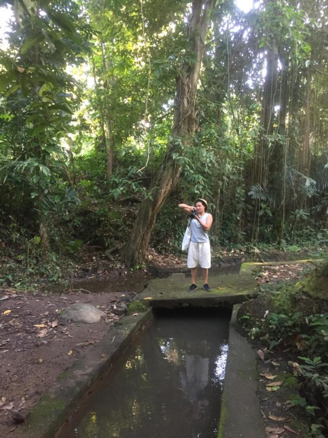 Pondok Intaran Karangasem エクステリア 写真